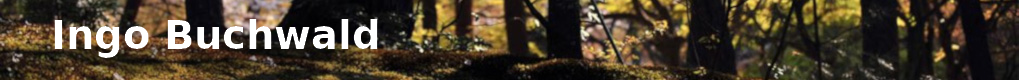 Ingo Buchwald - Homepage